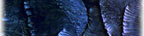 Wave Sequence 2